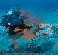 Second Reef Dive Site