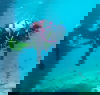 Shellharbour Scuba  and Photography Centre - Accommodation Brisbane