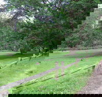 St Albans Reserve - Accommodation Brisbane