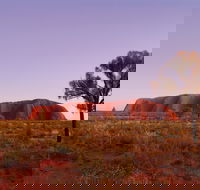 Sunrise Viewing Area Talinguru Nyakunytjaku - Accommodation Brisbane