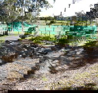 Tactical Paintball Games - Accommodation Brisbane