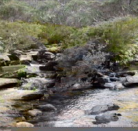 Thredbo River Track - Accommodation Brisbane