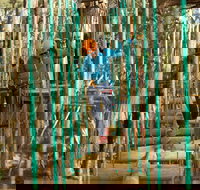 Trees Adventure Yeodene Park - Accommodation Brisbane