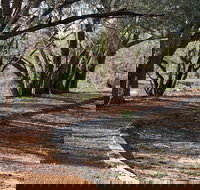 Warrego Floodplain walking track - Accommodation Brisbane