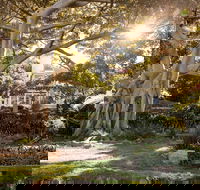 Wendy Whiteley's Secret Garden - Accommodation Brisbane