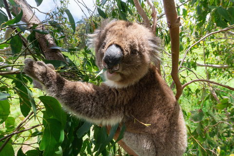 Wildlife Wonders - Accommodation Brisbane 1