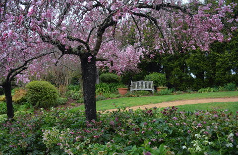 Wildwood Garden - Accommodation Brisbane 2