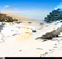 Abrolhos Islands - Accommodation Brisbane