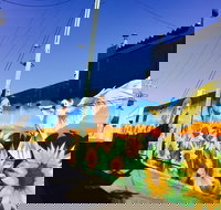 Art Trails in the Moree Plains - Accommodation Brisbane