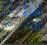 Basin Loop Track - Accommodation Brisbane