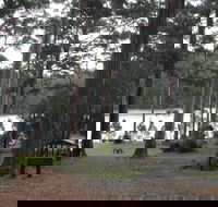 Big Brook Arboretum - Accommodation Brisbane
