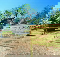 Boab Prison Tree - Accommodation Brisbane