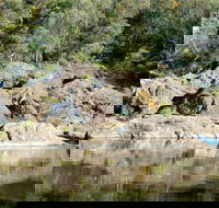 Boonoo Boonoo National Park - Accommodation Brisbane
