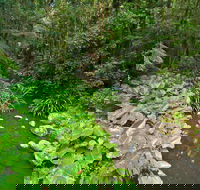 Brindle Creek Picnic Area - Accommodation Brisbane