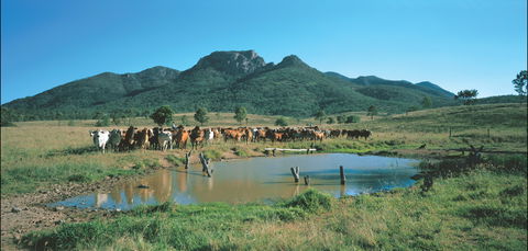 Bundaberg- Biggenden- Mount Perry Circle - Accommodation Brisbane 0
