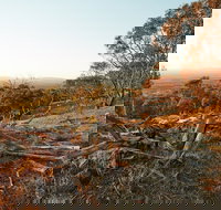 Chick Hill Walk - Accommodation Brisbane