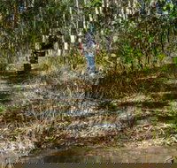 Cliff Face track - Accommodation Brisbane