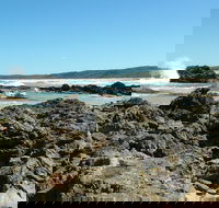 Coastal Walks - Bermagui - Accommodation Brisbane