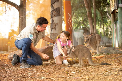 Dreamworld - Accommodation Brisbane 2
