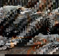 Geckostrands Textile Artist - Accommodation Brisbane