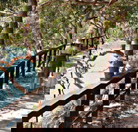 Harbour Bridge to The Spit Bridge Walking Track - Accommodation Brisbane