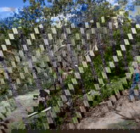 Herring Island Environmental Sculpture Park - Accommodation Brisbane