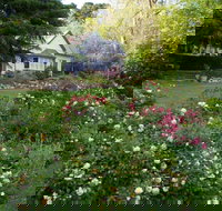 Heysen - The Cedars - Accommodation Brisbane