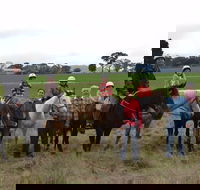 High Country Trail Rides - Accommodation Brisbane