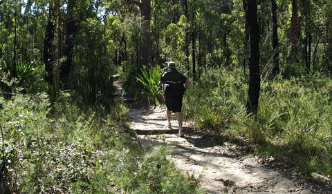 Karloo Walking Track - Accommodation Brisbane 0