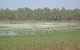 Leaning Tree Lagoon Nature Park - thumb 1