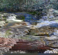 Liffey Falls Reserve - Accommodation Brisbane