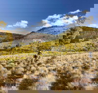 Little Mountain Walking Track - Accommodation Brisbane