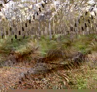 Livingstone National Park - Accommodation Brisbane