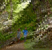 Melba Gully - Accommodation Brisbane