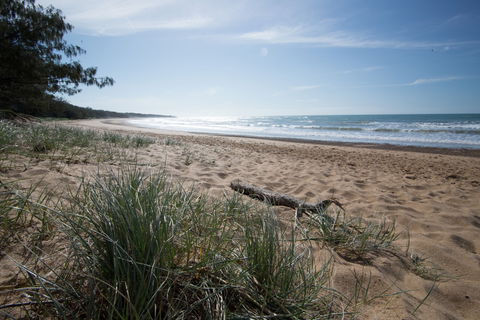 Mon Repos Beach - Accommodation Brisbane 1
