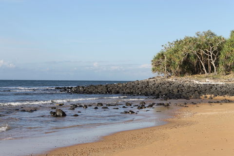 Mon Repos Beach - Accommodation Brisbane 2