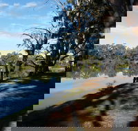 Murray River National Park - Katarapko - Accommodation Brisbane
