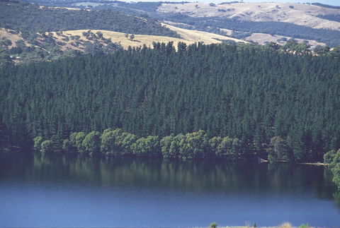 Myponga Reservoir Lookout - Accommodation Brisbane 0