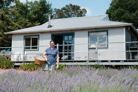 Nannup Lavender Farm - Accommodation Brisbane 1