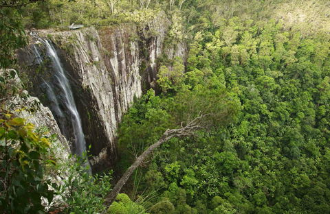 Nightcap National Park - Accommodation Brisbane 0