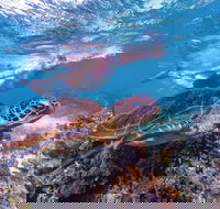 Ningaloo Marine Park