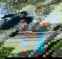 Paradise Country - Accommodation Brisbane