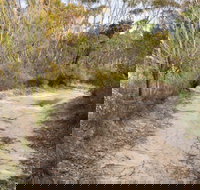 Red Rocks trig walking track - Accommodation Brisbane