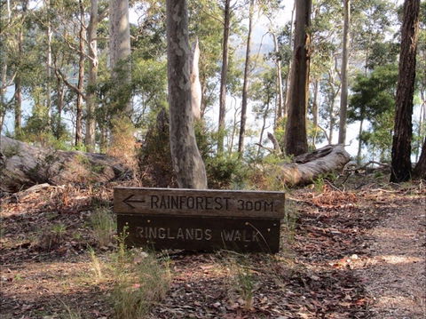 Ringlands Rotary Walk Narooma - Accommodation Brisbane 0