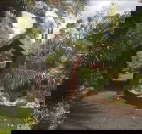 Roraima Nursery and Cafe - Accommodation Brisbane