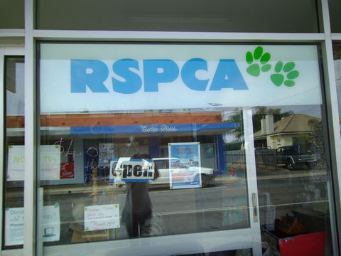 R.S.P.C.A Opportunity Shop - Accommodation Brisbane 0