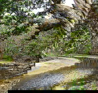 Saltwater National Park - Accommodation Brisbane