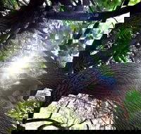 Scarborough Beach Park - Accommodation Brisbane