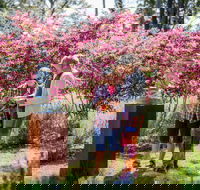 Sculpture at Petana - Accommodation Brisbane
