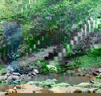 Tamborine National Park - Accommodation Brisbane